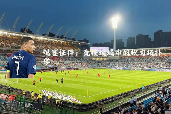 观赛证件:竞技场域中的权力拓扑学